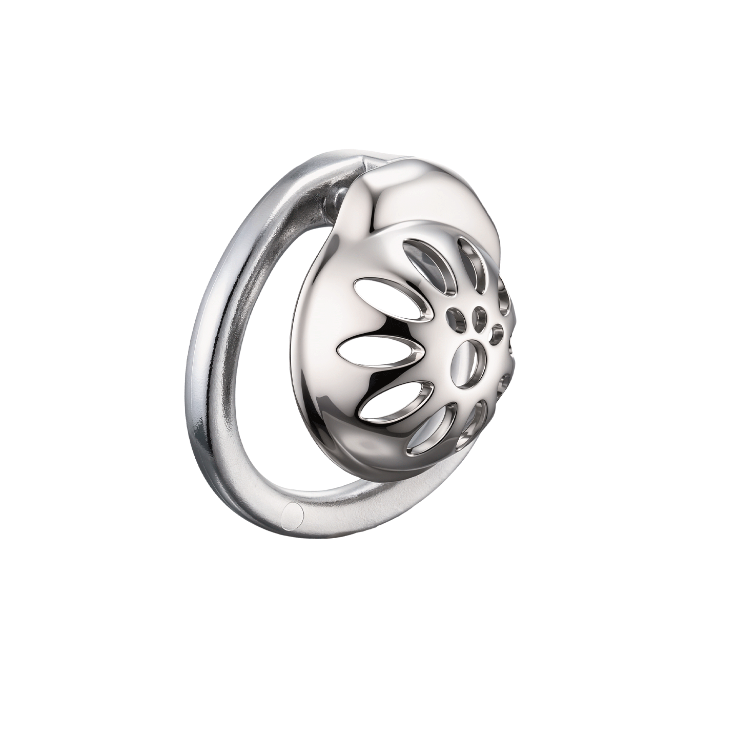 Mannelijke kuisheidskooi met s - Young Men'S Accessories recensie en prijs